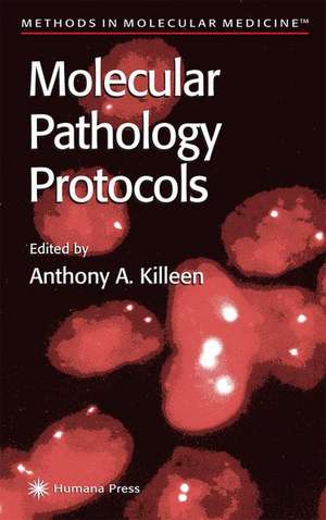 Molecular Pathology Protocols de Anthony A. Killeen