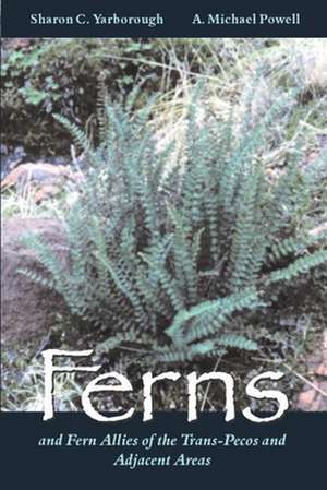 Ferns and Fern Allies of the Trans-Pecos and Adjacent Areas de Sharon C. Yarborough