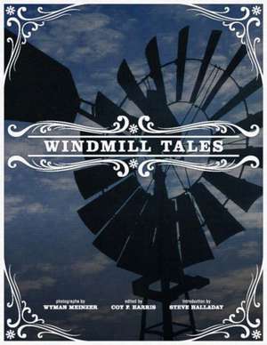 Windmill Tales: Stories from the American Wind Power Center de Coy F. Harris