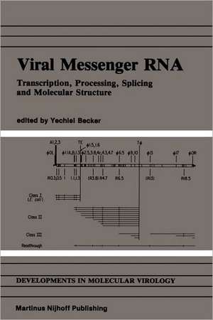 Viral Messenger RNA: Transcription, Processing, Splicing and Molecular Structure de Yechiel Becker