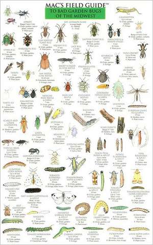 Mac's Field Guide to Midwest Garden Bugs de Craig MacGowan