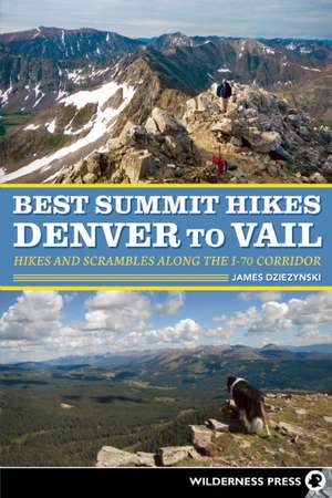 Best Summit Hikes Denver to Vail: Hikes and Scrambles Along the I-70 Corridor de James Dziezynski