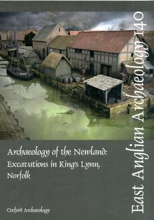 Archaeology of the Newland de Richard Brown