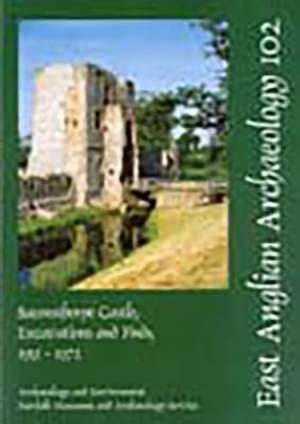 Baconsthorpe Castle, Excavations and Finds, 1951-1972 de Carolyn Dallas