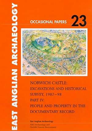 Norwich Castle: People and Property in the Documentary Record de Margot Tillyard