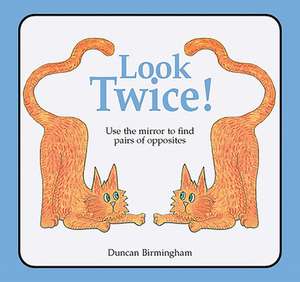 Look Twice de Duncan Birmingham