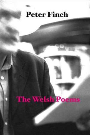 The Welsh Poems de Peter Finch