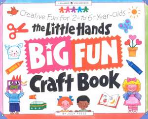 Little Hands Big Fun Craft Book: Creative Fun for 2 to 6-Year-Olds de Judy Press