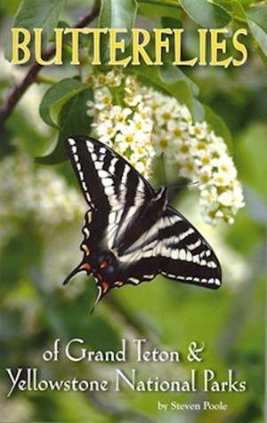 Butterflies of Grand Teton & Yellowstone National Parks de Steven Poole