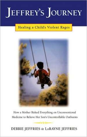 Jeffrey's Journey: Healing a Child's Violent Rages de Debbie Jeffries