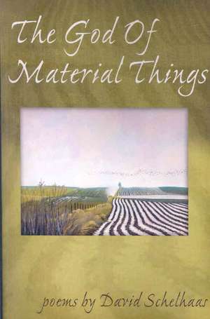 The God of Material Things de David Schelhaas