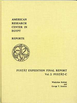 Fustat Expedition Final Report, Vol. 2 de Wladyslaw Kubiak