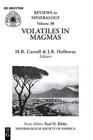 Volatiles in Magmas de John R. Holloway