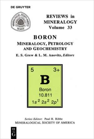 Boron de Edward S. Grew