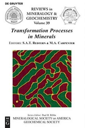 Transformation Processes in Minerals de Michael A. Carpenter