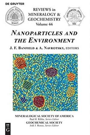 Nanoparticles and the Environment de Alexandra Navrotsky