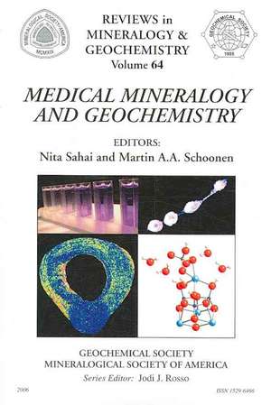 Medical Mineralogy and Geochemistry de Martin A. A. Schoonen