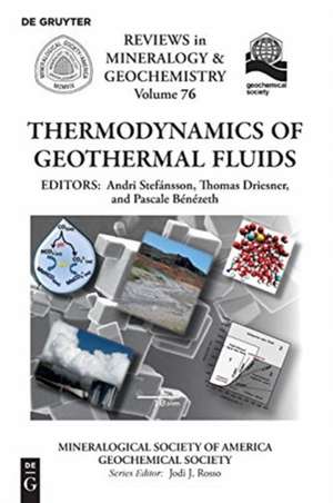 Thermodynamics of Geothermal Fluids de Andri Stefánsson