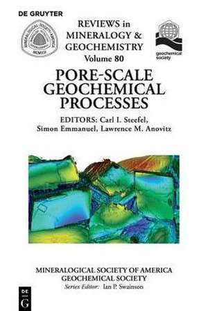 Pore Scale Geochemical Processes de Carl Steefel