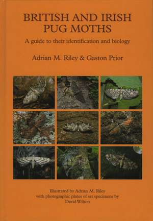 British and Irish Pug Moths – a Guide to their Identification and Biology de Adrian Riley