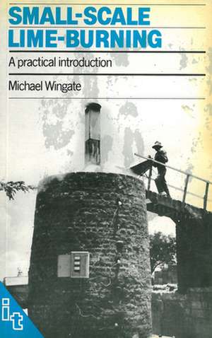 Small-Scale Lime-Burning de Michael (Construction Professional) Wingate