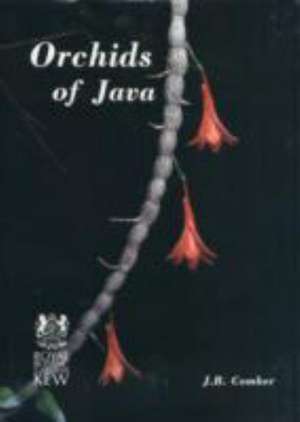 Orchids of Java de J B Comber