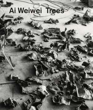 Hill, K: Ai Weiwei de Katie Hill