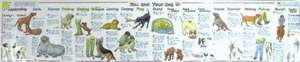 YOU AND YOUR DOG CHART de Liz Cook