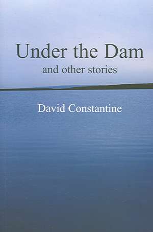 Under the Dam de David Constantine