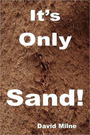 It's Only Sand de David Milne