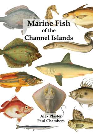 Marine Fish of the Channel Islands de Paul Chambers