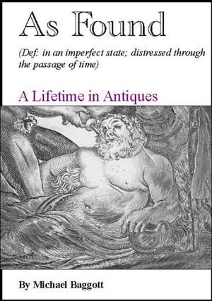As Found de Michael Baggott