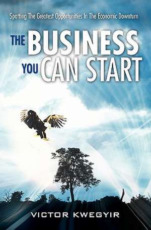 The Business You Can Start: Spotting the Greatest Opportunities in the Economic Downturn de Victor Kwegyir