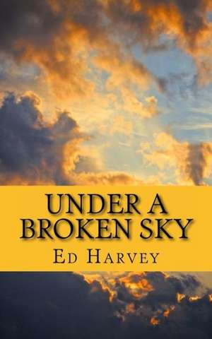 Under a Broken Sky: Small Stories for the Big Screen That Were Never Loved de Ed Harvey