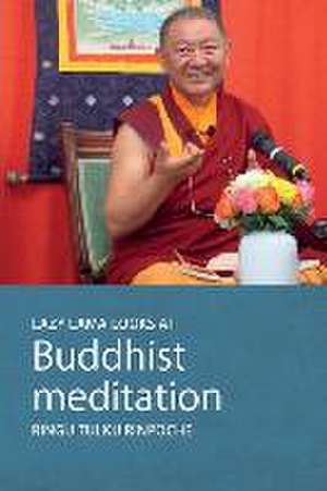 Lazy Lama looks at Meditation de Ringu Tulku