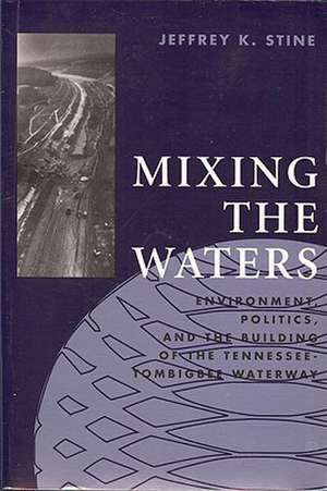 Mixing the Waters de Jeffrey K. Stine