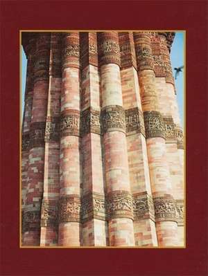 Qutub Minar Journal: Picture of Mahdi F. Bandali de Aun Ali Khalfan