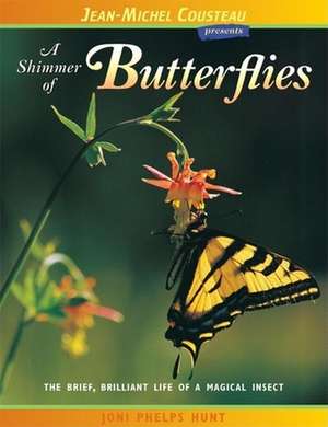 A Shimmer of Butterflies: The Brief, Brilliant Life of a Magical Insect de Joni Phelps Hunt