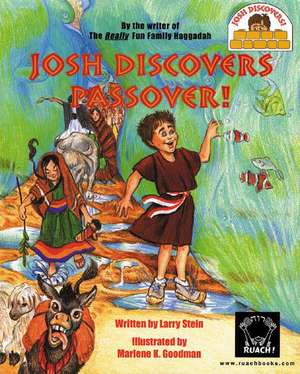 Josh Discovers Passover! de Larry Stein