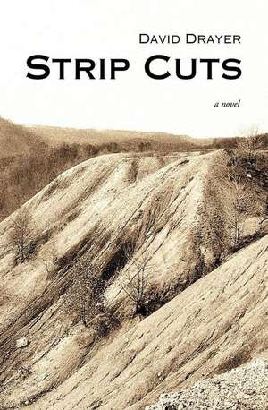 Strip Cuts de David Drayer