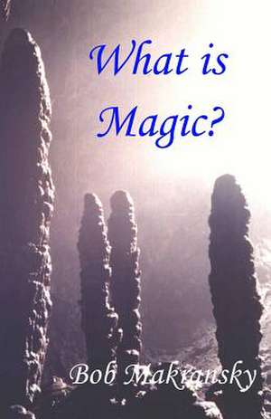 What is Magic? de Bob Makransky