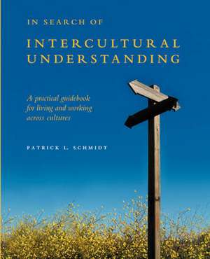 In Search of Intercultural Understanding de Patrick Schmidt