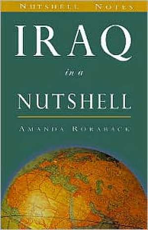 Iraq In A Nutshell de Amanda Roraback