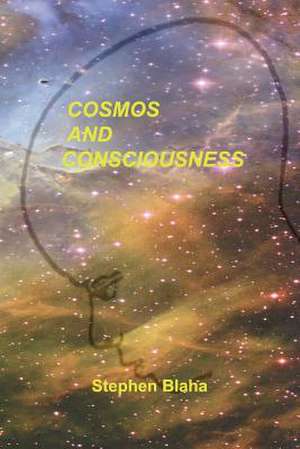 Cosmos and Consciousness: Quantum Computers, Superstrings, Programming, Egypt, Quarks, Mind Body Problem, and Turing Machines de Stephen Blaha