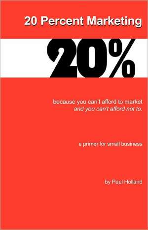 20 Percent Marketing: Maybe That's All You Need de Paul Holland