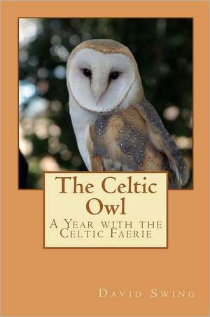 The Celtic Owl: A Year with the Celtic Faerie de David Swing