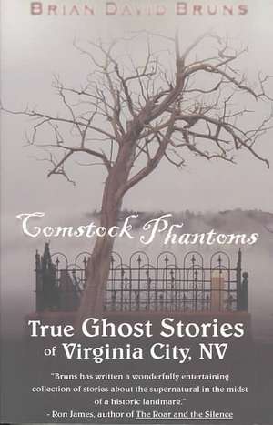 Comstock Phantoms: Ghost Stories of Virginia City de Brian David Bruns