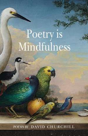 Poetry is Mindfulness de David B Churchill