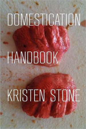 Domestication Handbook: Eats Color -- Sagawa Chika Translations, Anti-Translations, & Originals de Kristen Stone