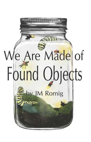 We Are Made of Found Objects de Jm Romig